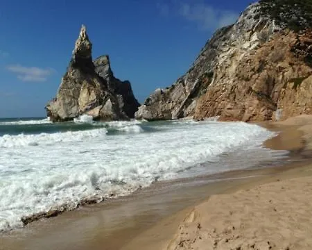 Apartment, Culture And Amazing Beaches